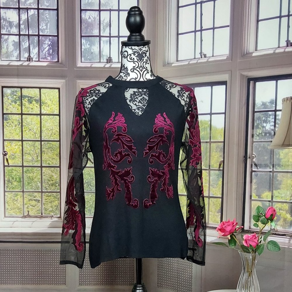 NWT COLLEEN LOPEZ VELVET EMBROIDERED SHEER SLEEVE KNIT TOP (S)